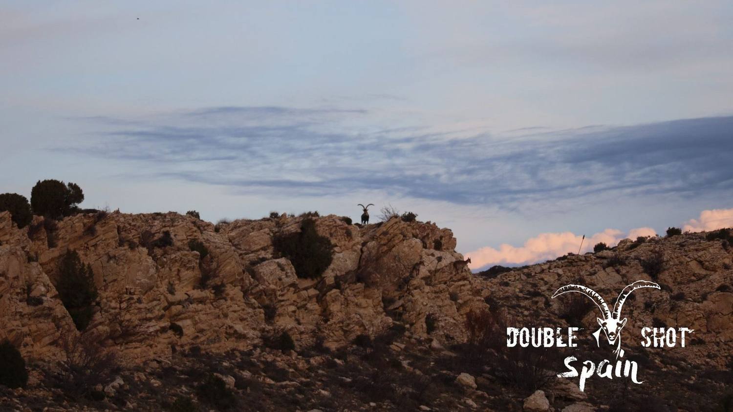 Spanish ibex taken with Double Shot Outfitters