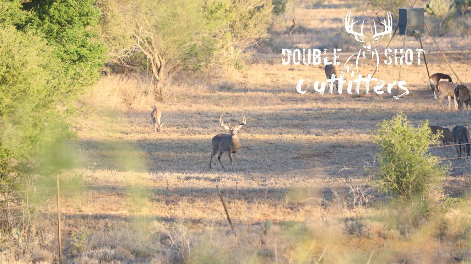 DSO hunt photo