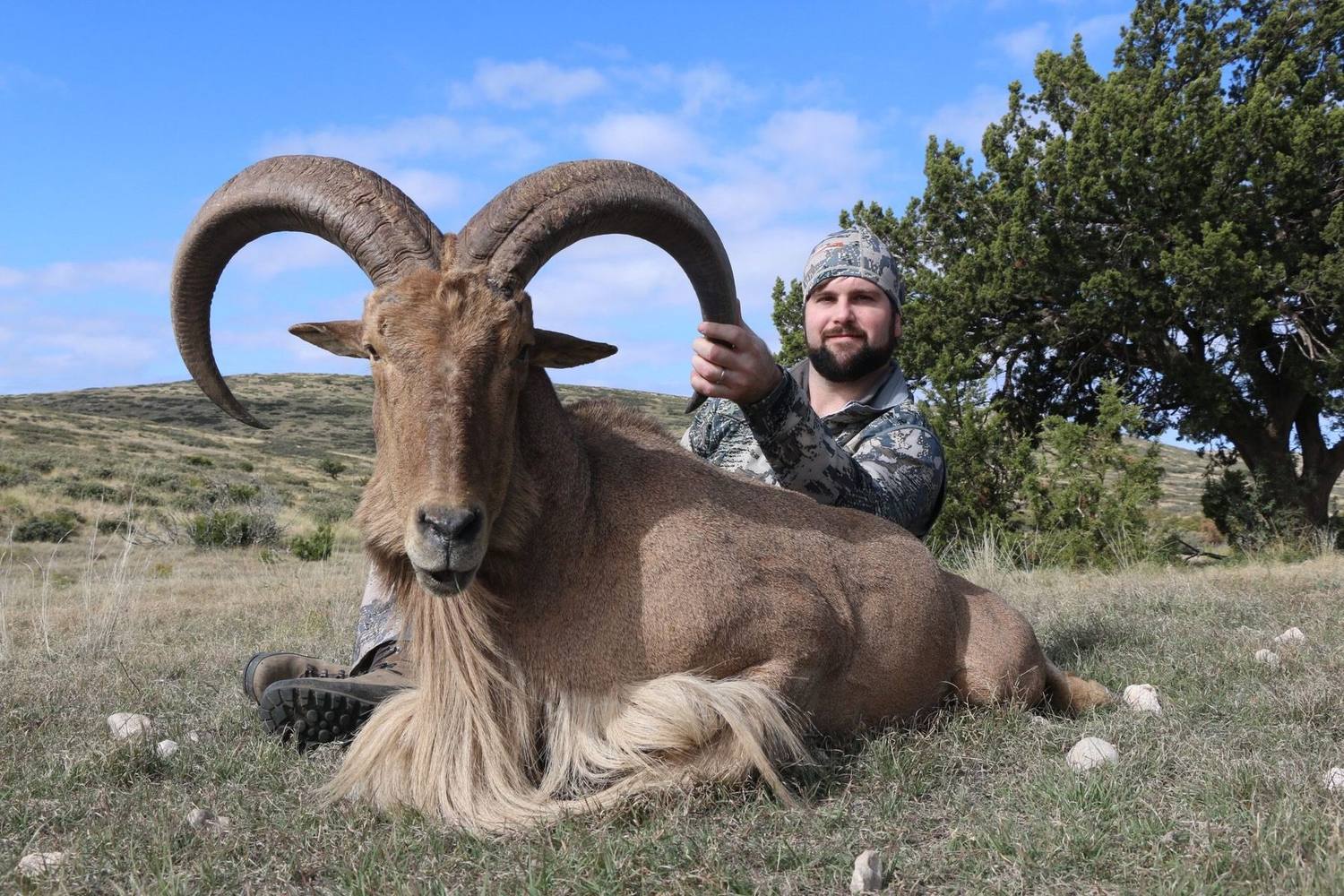 DSO hunt photo