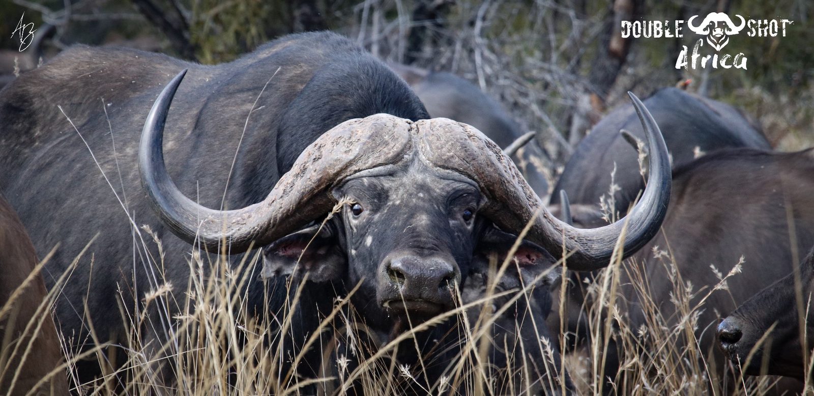 African safari trophy taken with Double Shot Outfitters