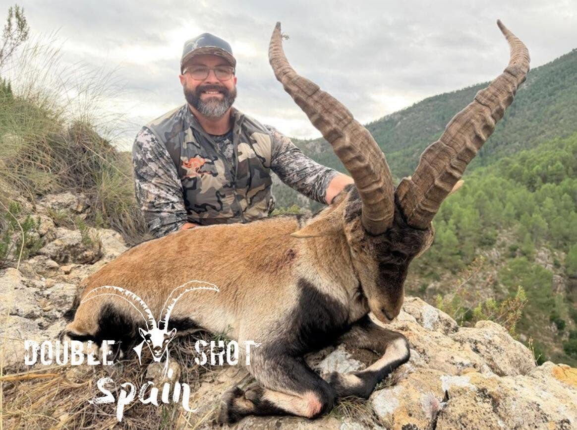 Beceite ibex, Spain