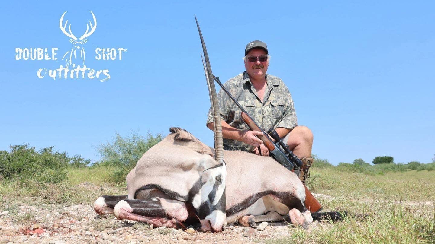 Gemsbok oryx, Africa