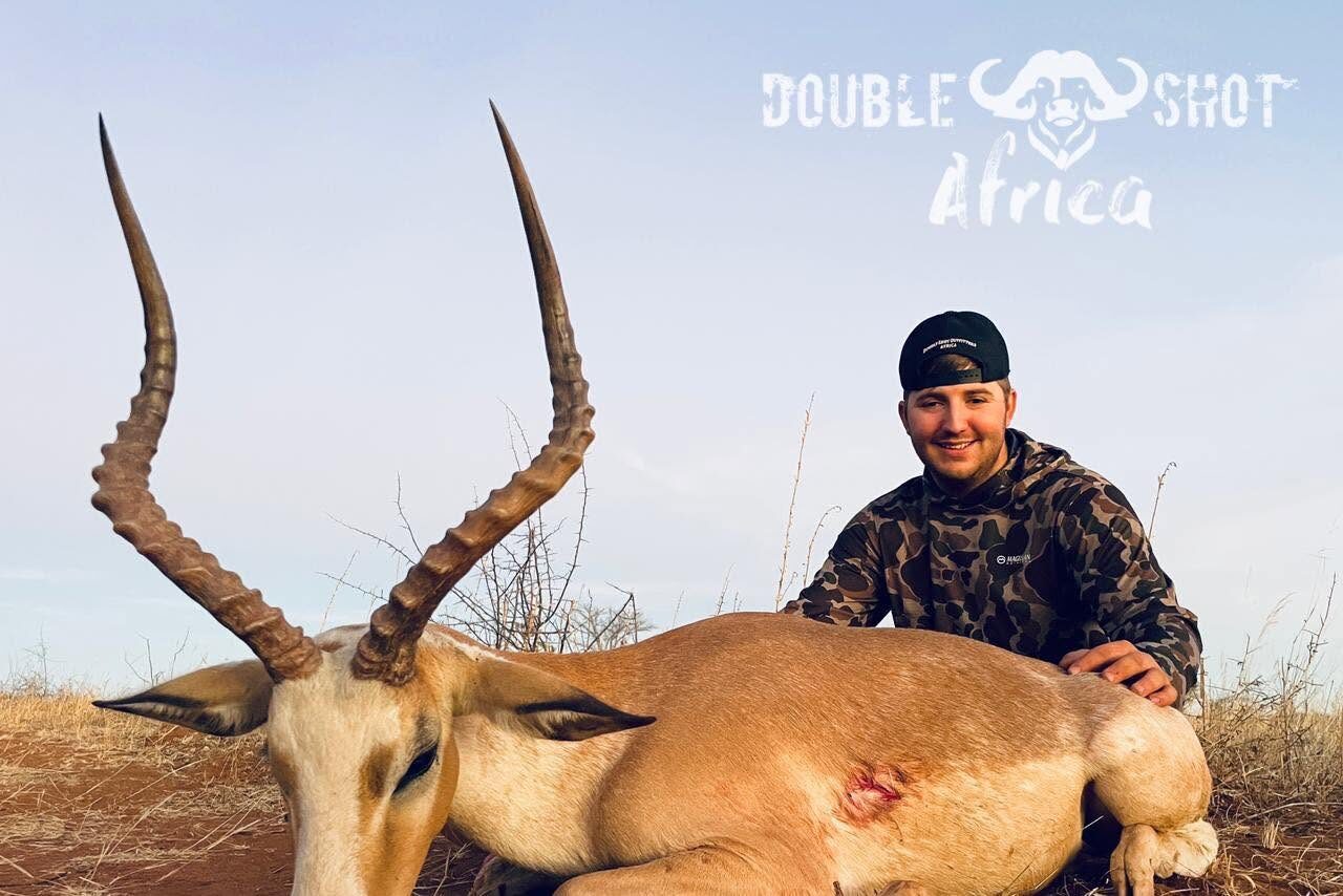 Impala, Africa