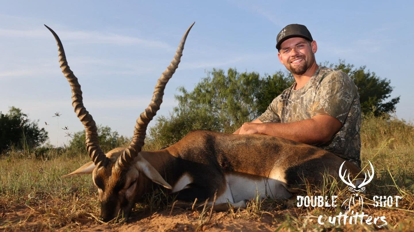 Blackbuck antelope