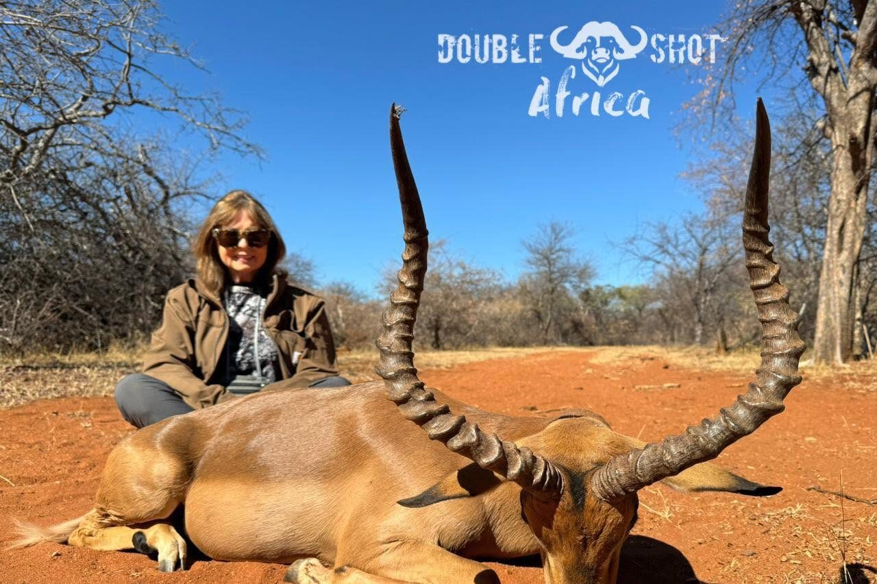 Blackbuck antelope trophy