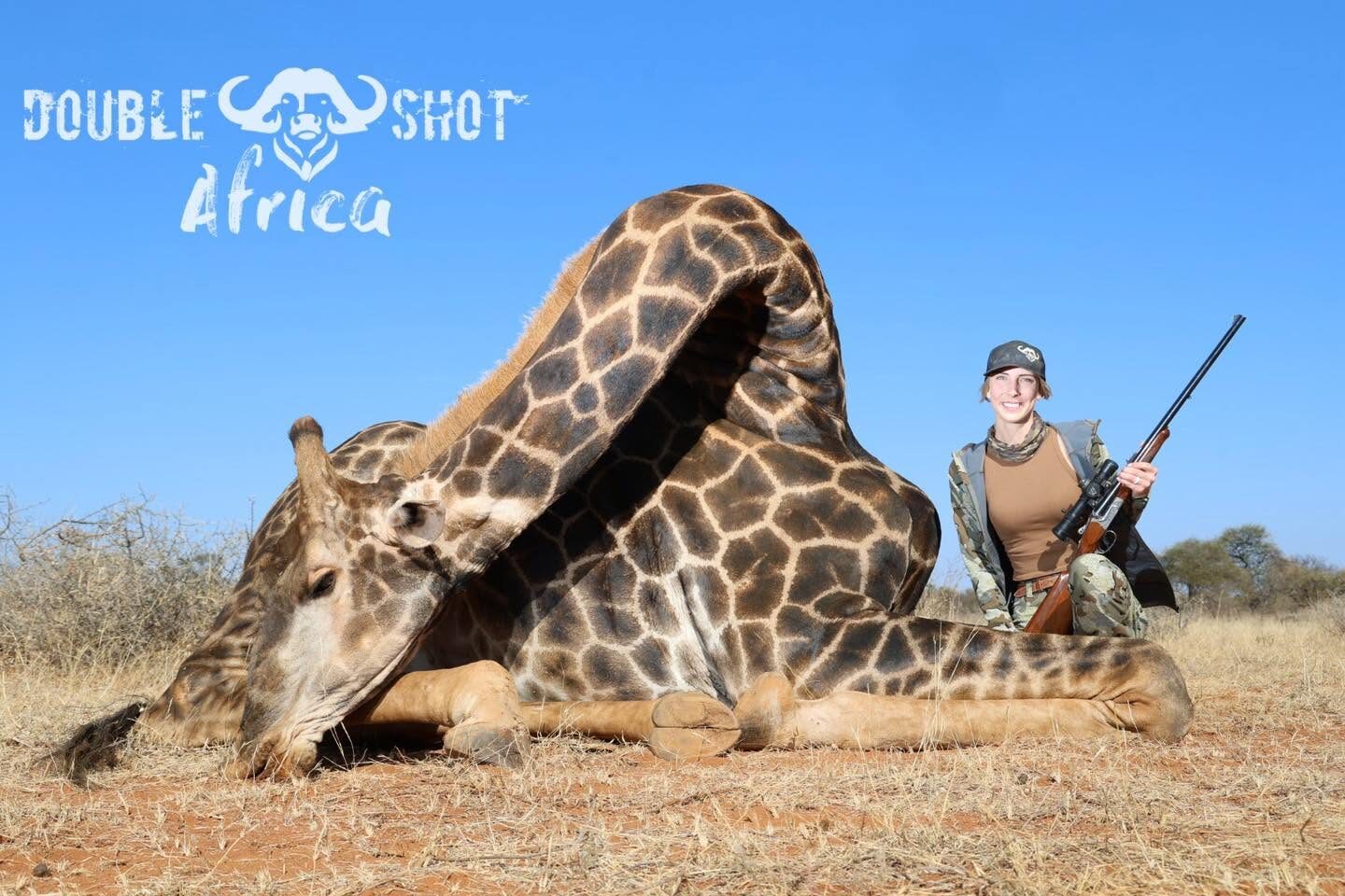 Giraffe, Africa