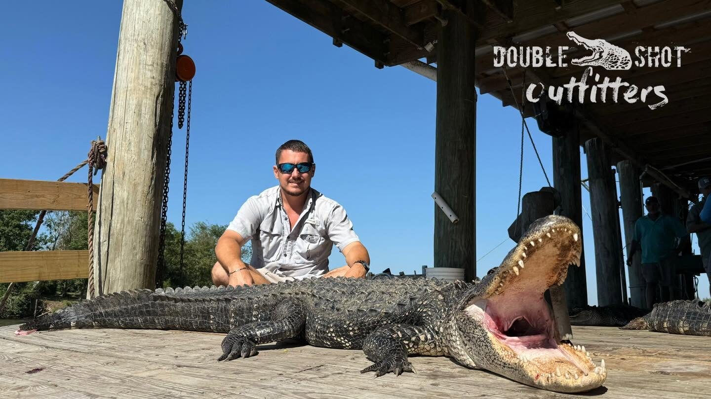 Trophy alligator hunt