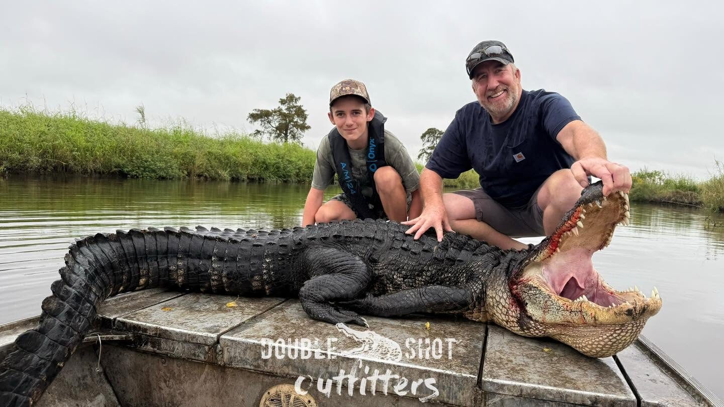 Alligator hunt