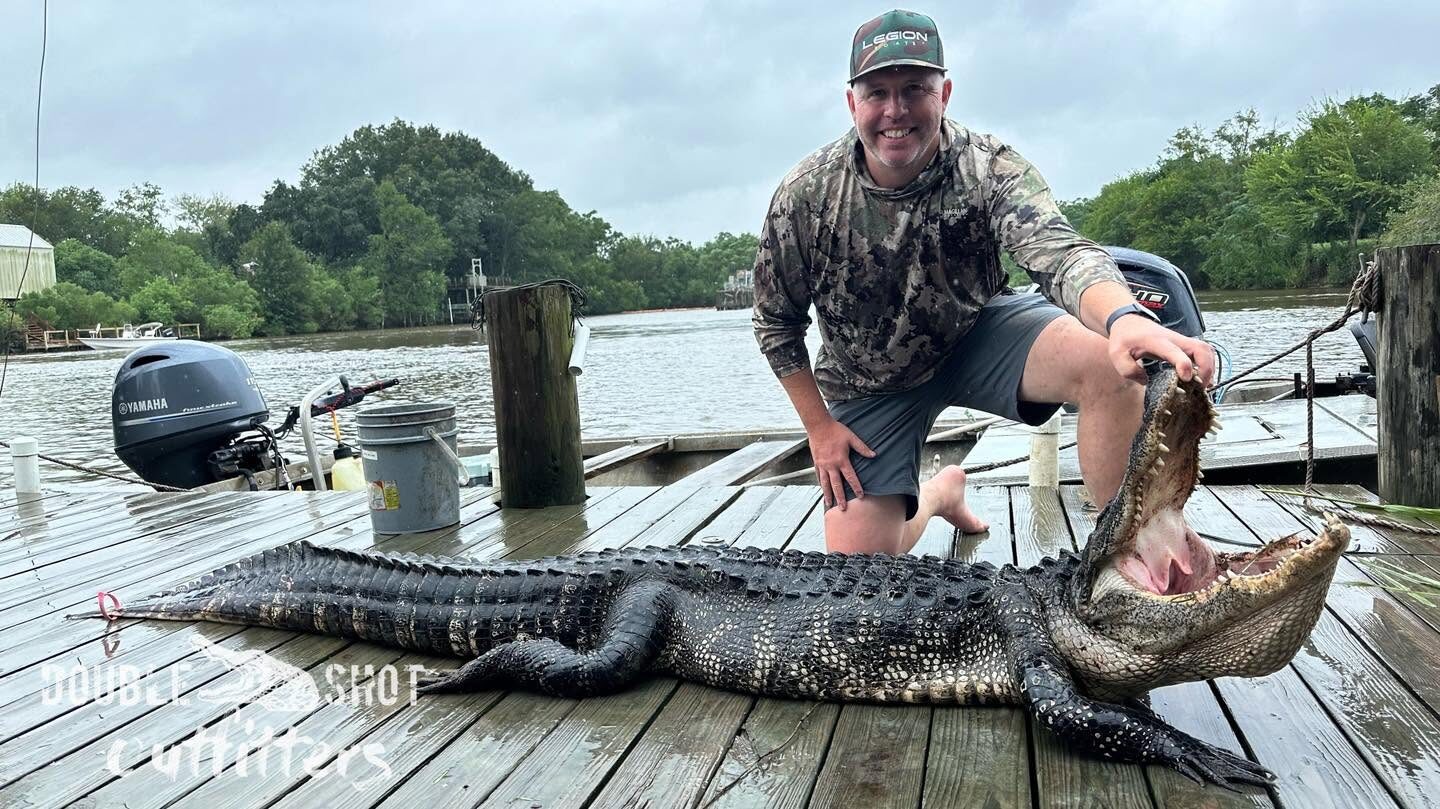 Big alligator, Texas