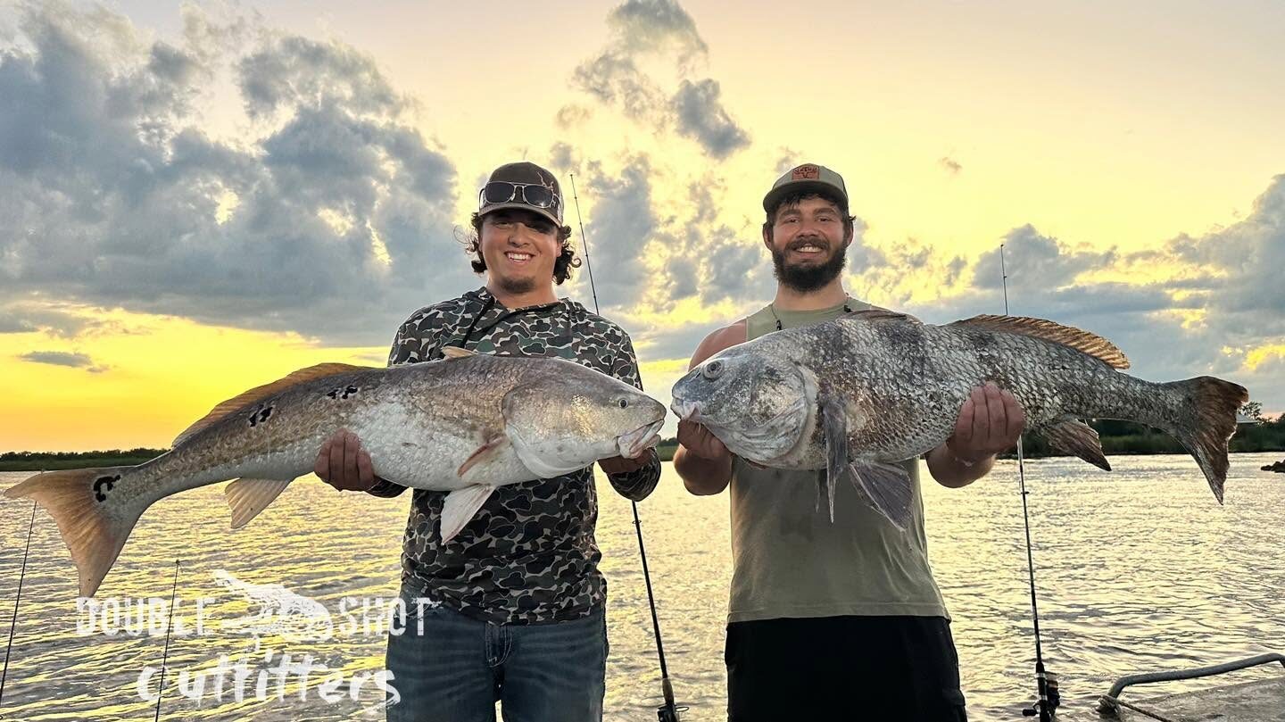 Redfish at sunset