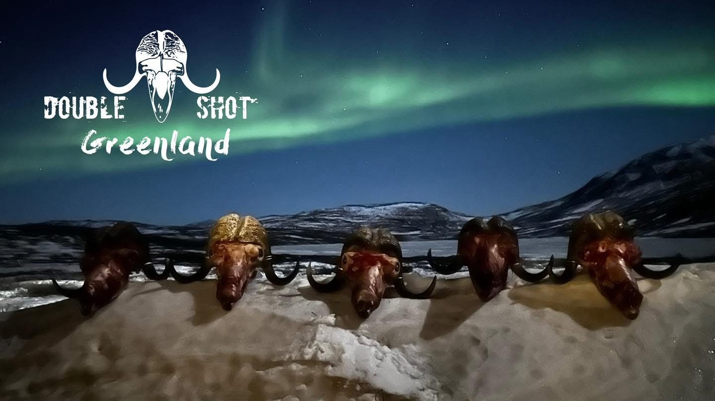 Greenland hunt with Double Shot Outfitters