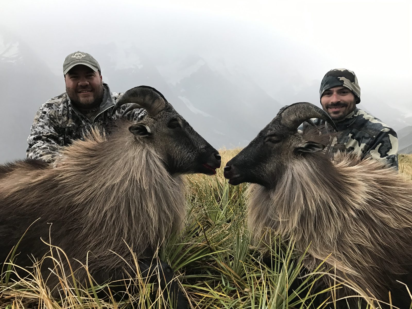 New Zealand hunt with Double Shot Outfitters