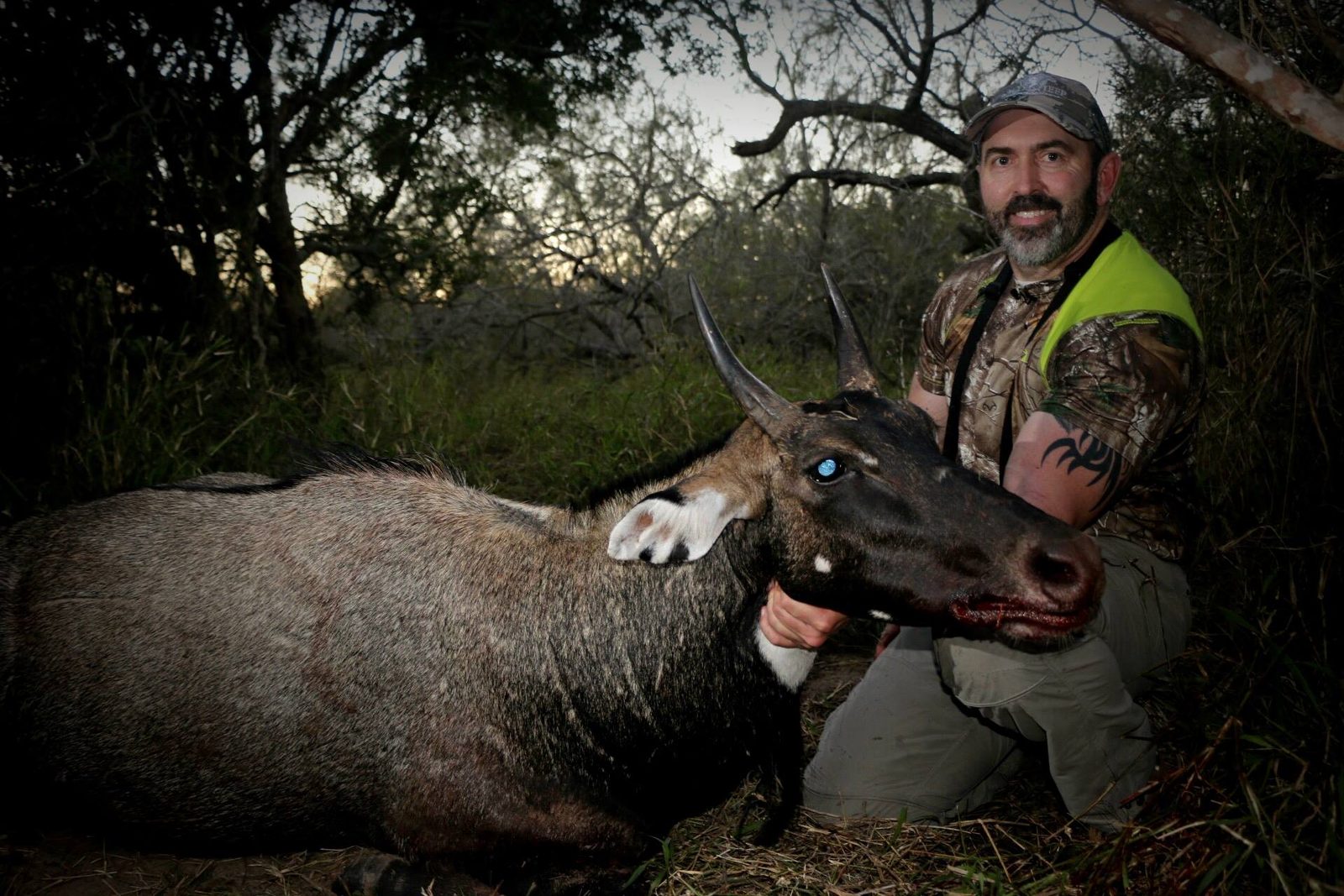 South Texas nilgai taken with Double Shot Outfitters
