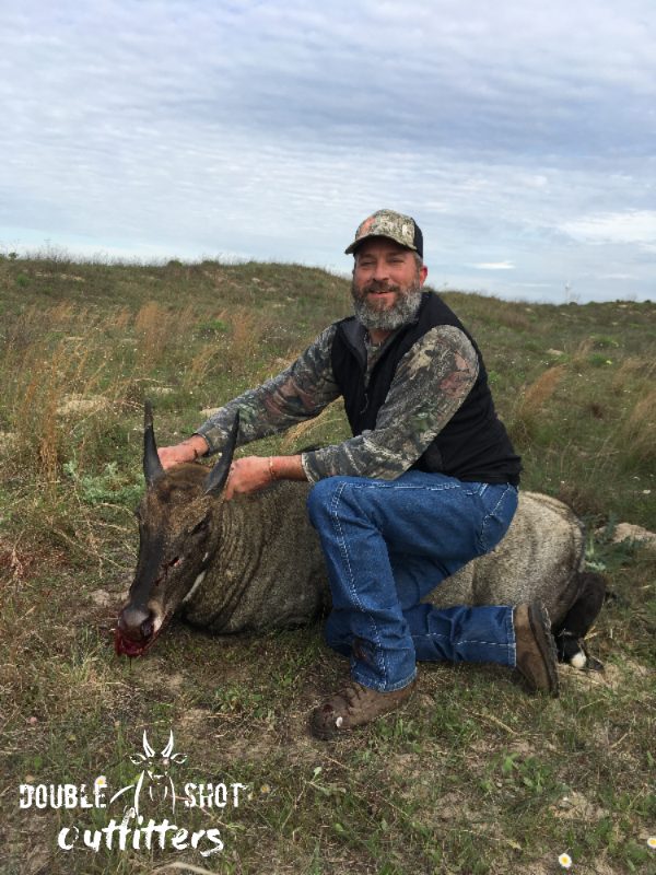 South Texas nilgai taken with Double Shot Outfitters