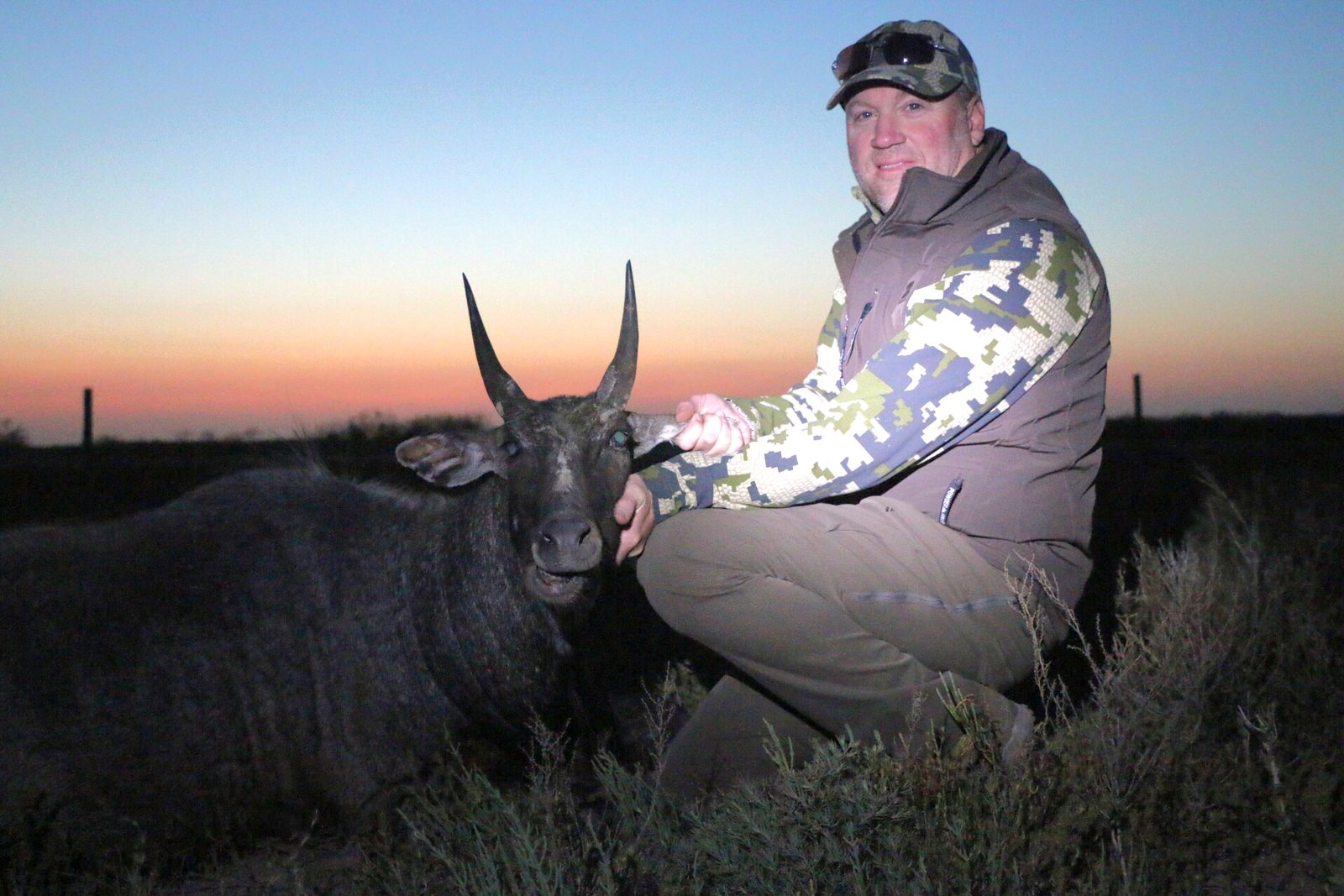 South Texas nilgai taken with Double Shot Outfitters