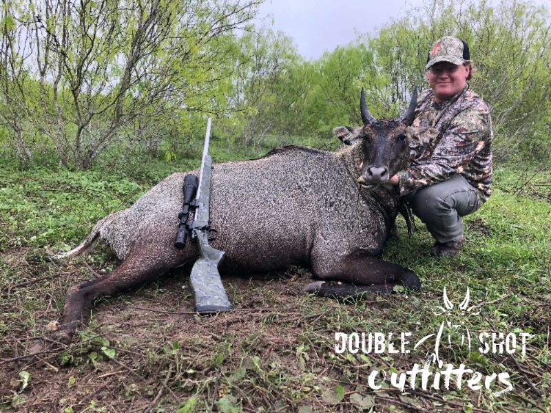 South Texas nilgai taken with Double Shot Outfitters