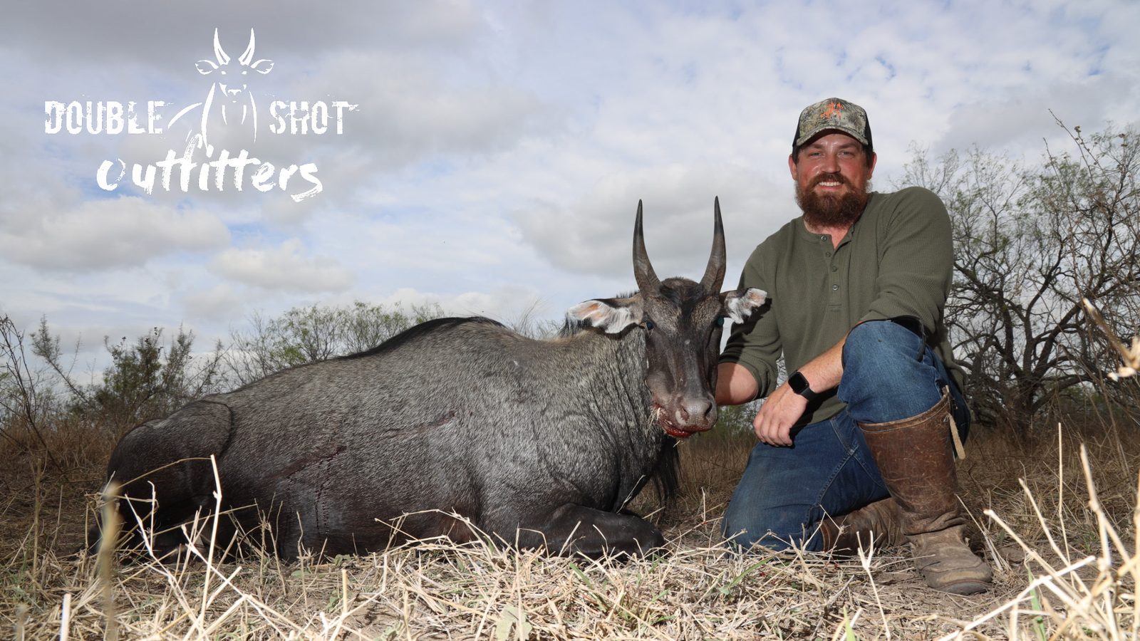 South Texas nilgai taken with Double Shot Outfitters