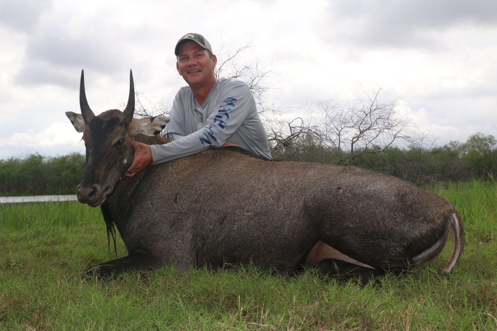 South Texas nilgai taken with Double Shot Outfitters
