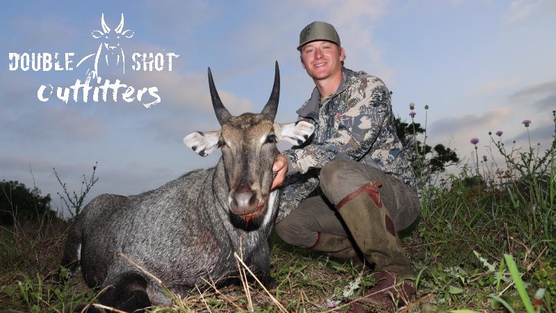 South Texas nilgai taken with Double Shot Outfitters