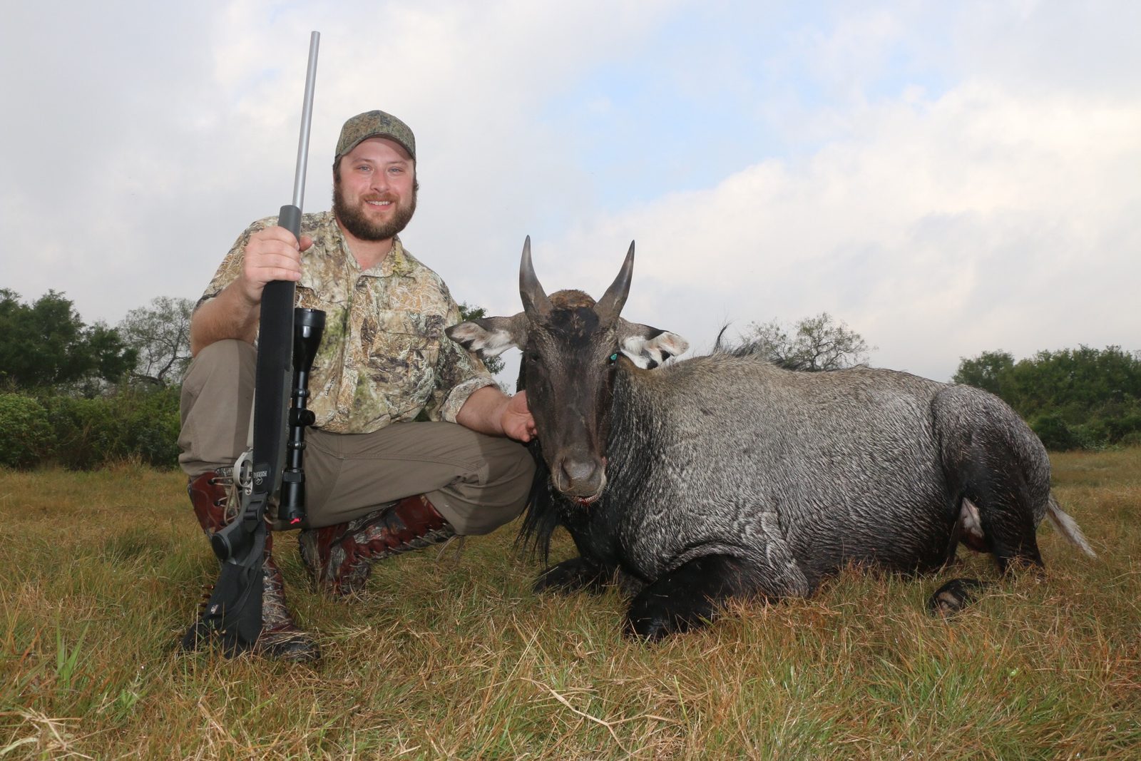 South Texas nilgai taken with Double Shot Outfitters