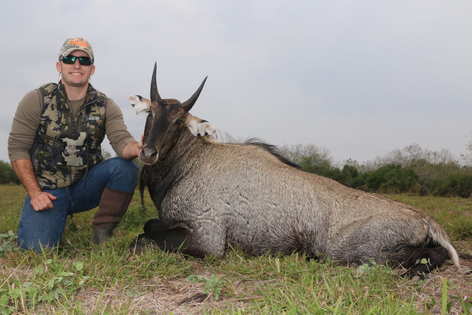 South Texas nilgai taken with Double Shot Outfitters
