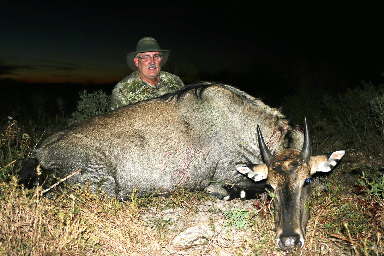 South Texas nilgai taken with Double Shot Outfitters