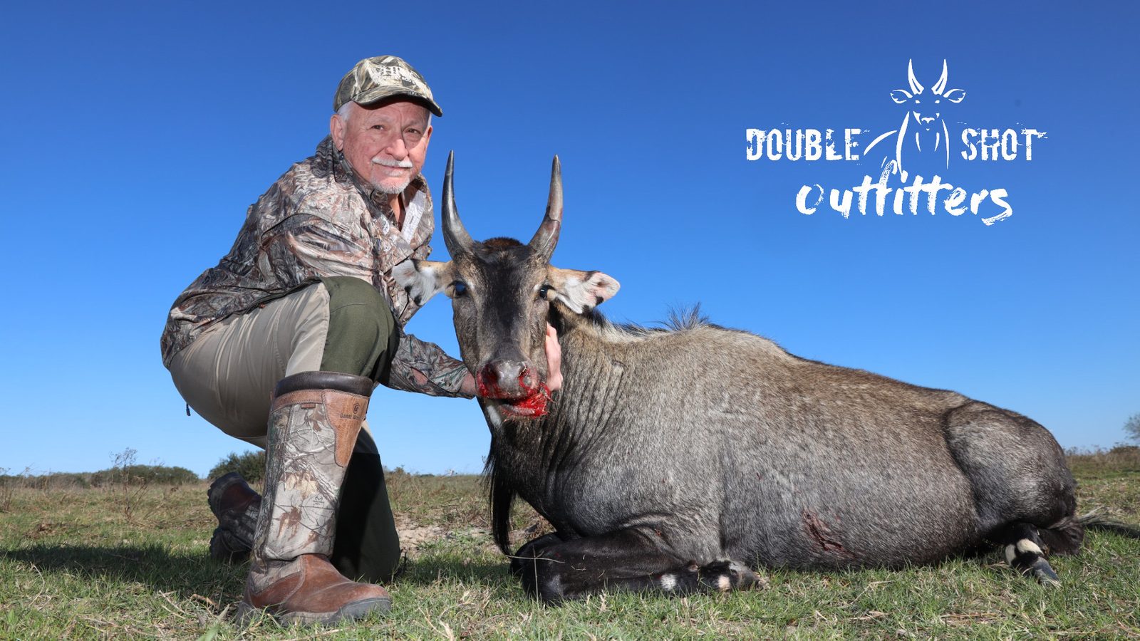 South Texas nilgai taken with Double Shot Outfitters