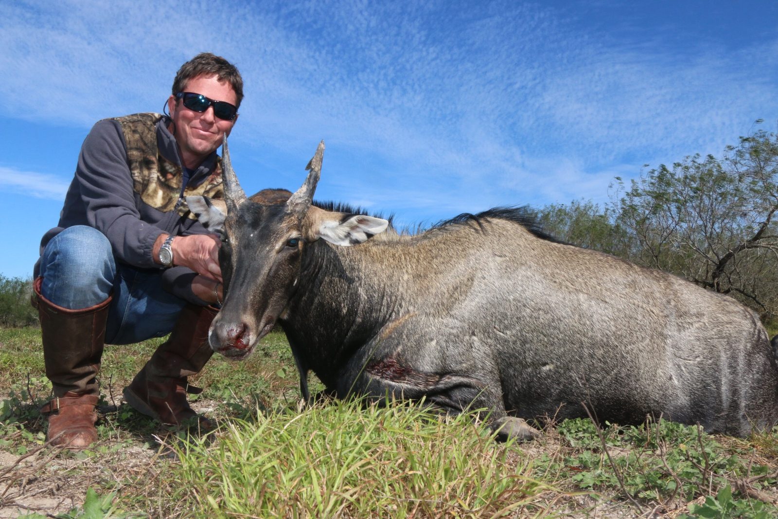 South Texas nilgai taken with Double Shot Outfitters