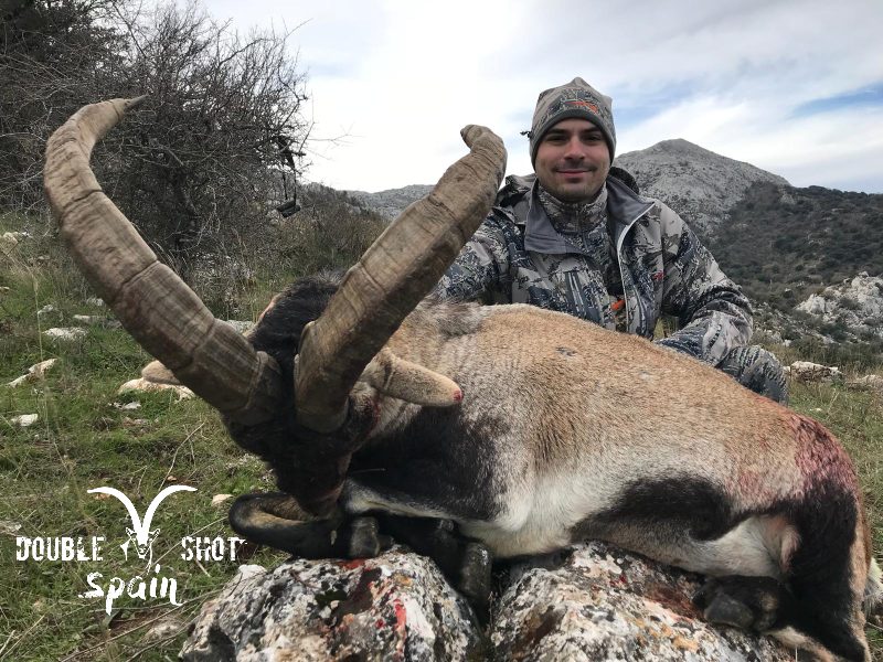 Spanish ibex taken with Double Shot Outfitters