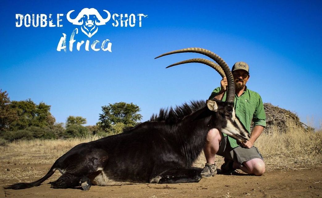Sable taken by a Double Shot client in Africa